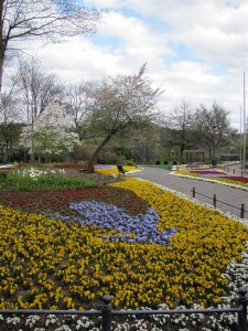 Blumenmeer (Groß)